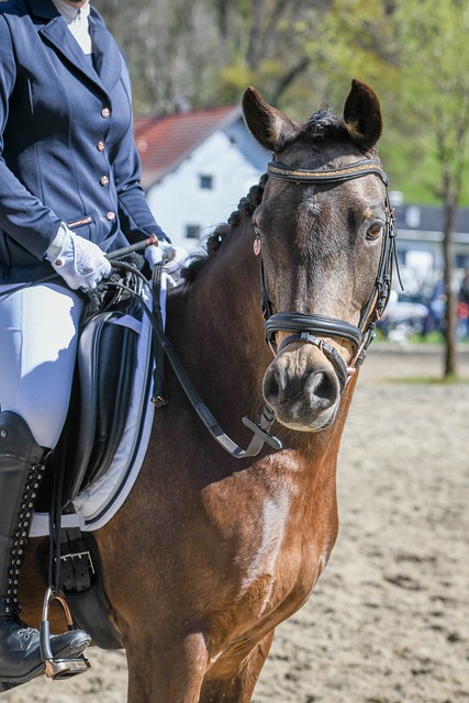 将直接影响 将直接影响