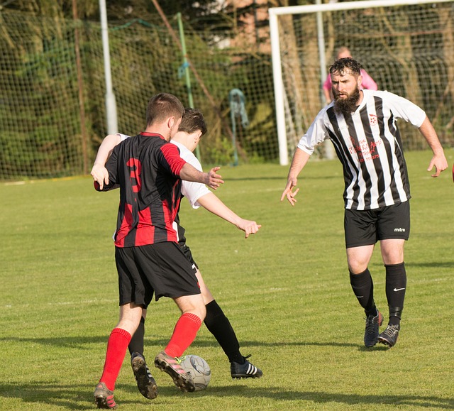 民众之间的 民众之间的