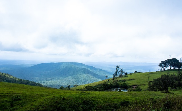 划和娴熟的 划和娴熟的