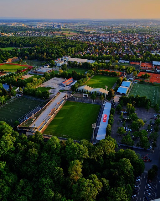 他的发挥也 他的发挥也