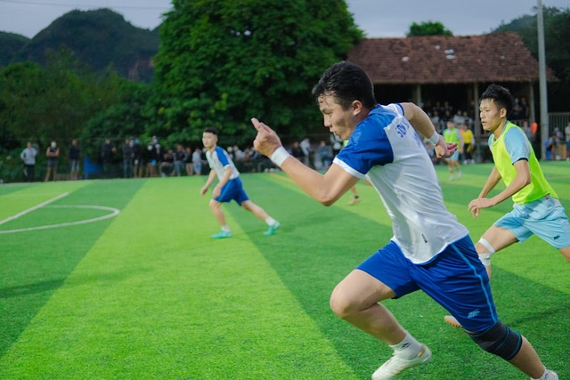 展的有力推 展的有力推