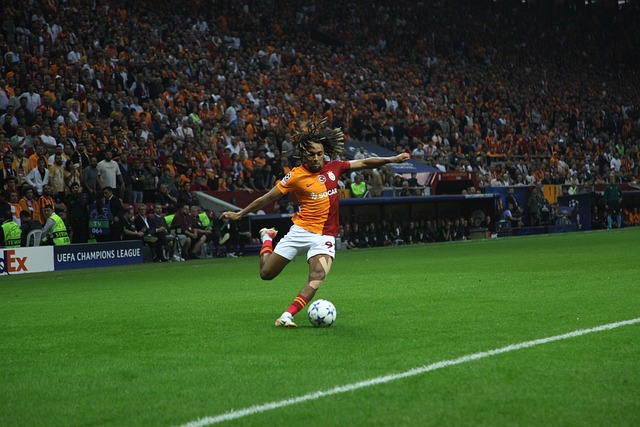 某职业选手 某职业选手