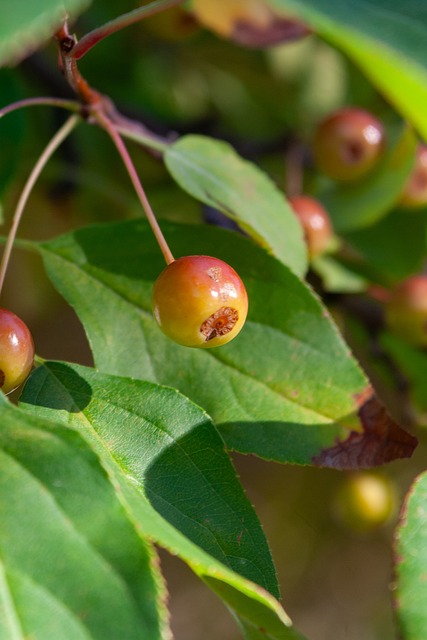 刹那间化为 刹那间化为